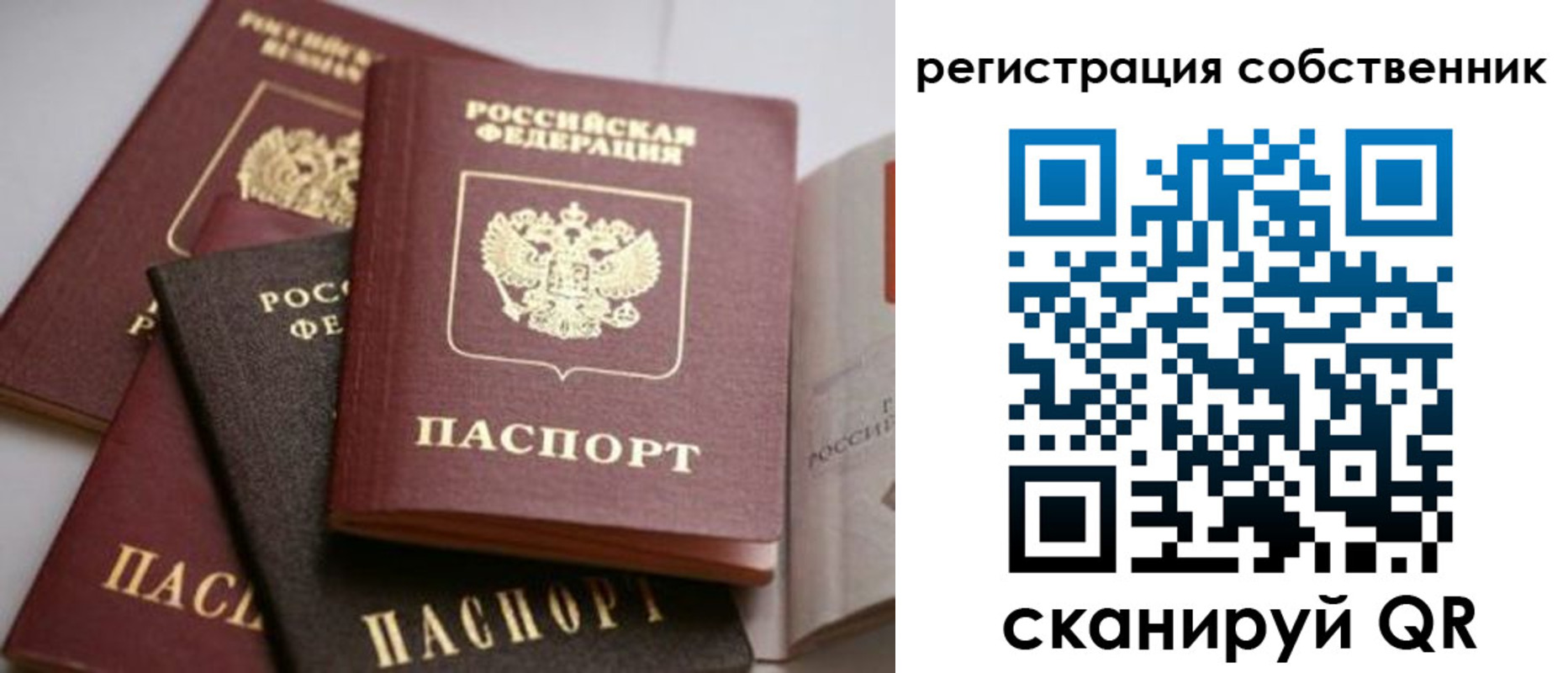 временная регистрация поиск в Новгородской области