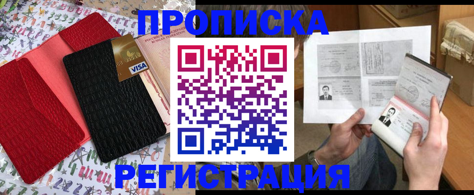 прописка поиск в Новгородской области